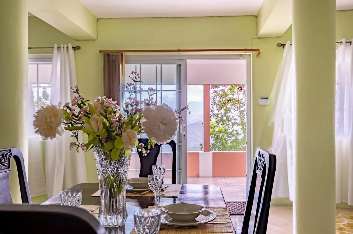 Misty Hills Retreat Διαμέρισμα Stony Hill Τζαμάικα